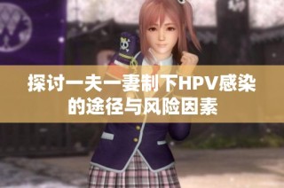 探讨一夫一妻制下HPV感染的途径与风险因素
