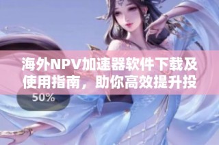海外NPV加速器软件下载及使用指南，助你高效提升投资决策