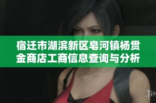 宿迁市湖滨新区皂河镇杨贯金商店工商信息查询与分析