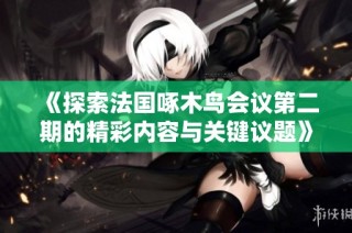 《探索法国啄木鸟会议第二期的精彩内容与关键议题》