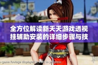 全方位解读新天天游戏透视挂辅助安装的详细步骤与技巧