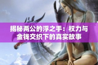 揭秘两公的浮之手：权力与金钱交织下的真实故事