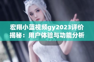 宏翔小蓝视频gy2023评价揭秘：用户体验与功能分析