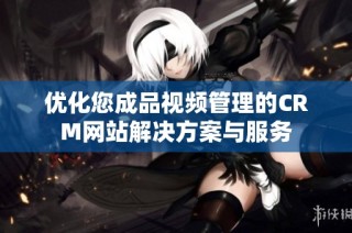 优化您成品视频管理的CRM网站解决方案与服务