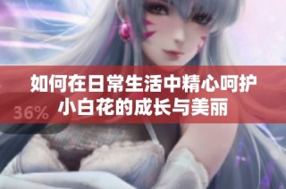 如何在日常生活中精心呵护小白花的成长与美丽