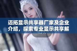迈拓显示共享器厂家及企业介绍，探索专业显示共享解决方案和服务