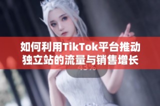 如何利用TikTok平台推动独立站的流量与销售增长