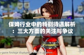 保姆行业中的特别待遇解析：三大方面的关注与争议