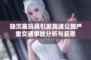 陆沉塞玩具引发高速公路严重交通事故分析与反思
