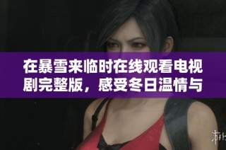 在暴雪来临时在线观看电视剧完整版，感受冬日温情与人性纠葛