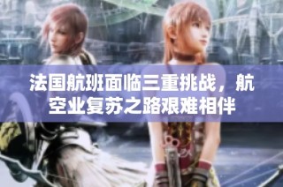 法国航班面临三重挑战，航空业复苏之路艰难相伴