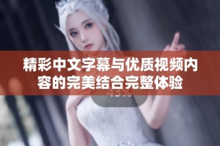 精彩中文字幕与优质视频内容的完美结合完整体验