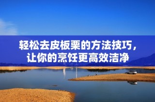 轻松去皮板栗的方法技巧，让你的烹饪更高效洁净