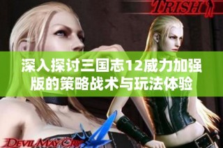 深入探讨三国志12威力加强版的策略战术与玩法体验