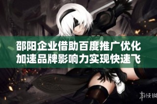 邵阳企业借助百度推广优化加速品牌影响力实现快速飞跃的新机遇