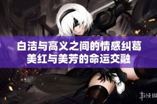 白洁与高义之间的情感纠葛美红与美芳的命运交融