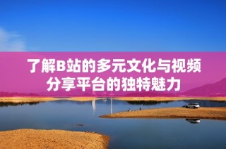 了解B站的多元文化与视频分享平台的独特魅力