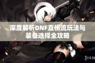 深度解析DNF直伤流玩法与装备选择全攻略