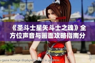 《圣斗士星矢斗士之魂》全方位声音与画面攻略指南分享