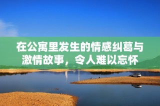 在公寓里发生的情感纠葛与激情故事，令人难以忘怀