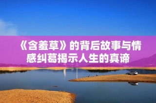 《含羞草》的背后故事与情感纠葛揭示人生的真谛