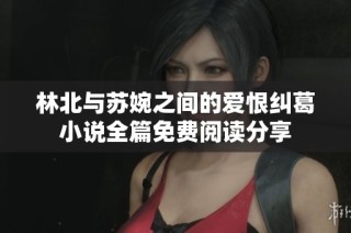 林北与苏婉之间的爱恨纠葛小说全篇免费阅读分享