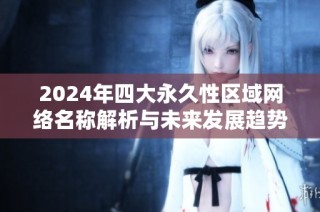 2024年四大永久性区域网络名称解析与未来发展趋势探讨