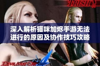 深入解析猫咪加烬手游无法进行的原因及协作技巧攻略