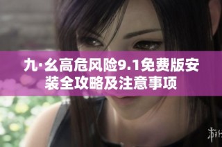 九·幺高危风险9.1免费版安装全攻略及注意事项