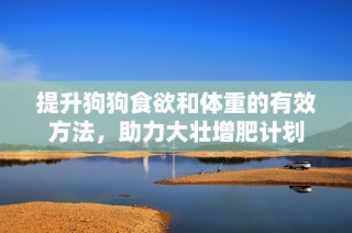 提升狗狗食欲和体重的有效方法，助力大壮增肥计划
