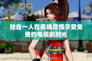 独自一人在夜晚尽情享受免费的电视剧时光