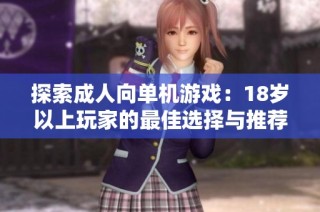 探索成人向单机游戏：18岁以上玩家的最佳选择与推荐