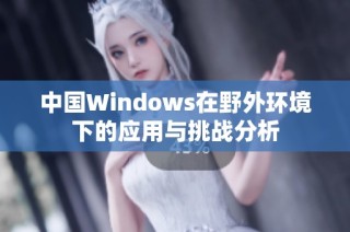 中国Windows在野外环境下的应用与挑战分析