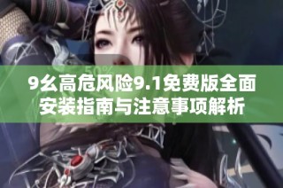 9幺高危风险9.1免费版全面安装指南与注意事项解析