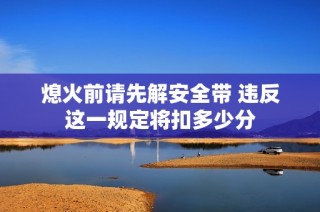 熄火前请先解安全带 违反这一规定将扣多少分