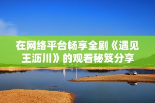在网络平台畅享全剧《遇见王沥川》的观看秘笈分享