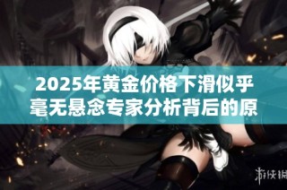 2025年黄金价格下滑似乎毫无悬念专家分析背后的原因与影响