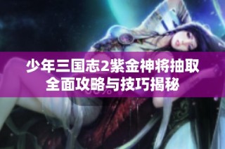 少年三国志2紫金神将抽取全面攻略与技巧揭秘