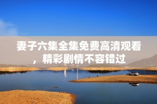 妻子六集全集免费高清观看，精彩剧情不容错过