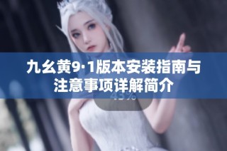 九幺黄9·1版本安装指南与注意事项详解简介