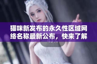 猫咪新发布的永久性区域网络名称最新公布，快来了解一下吧