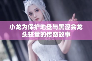 小龙为保护地盘与黑涩会龙头较量的传奇故事