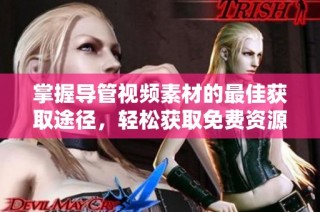 掌握导管视频素材的最佳获取途径，轻松获取免费资源技巧分享