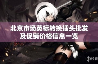 北京市场英标转换插头批发及促销价格信息一览