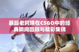 暴躁老阿姨在CSGO中的经典瞬间回顾与精彩集锦