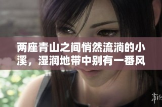 两座青山之间悄然流淌的小溪，湿润地带中别有一番风味