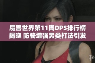 魔兽世界第11周DPS排行榜揭晓 防骑增强另类打法引发讨论