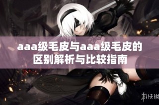 aaa级毛皮与aaa级毛皮的区别解析与比较指南