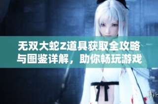 无双大蛇Z道具获取全攻略与图鉴详解，助你畅玩游戏！
