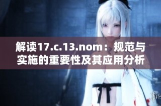 解读17.c.13.nom：规范与实施的重要性及其应用分析